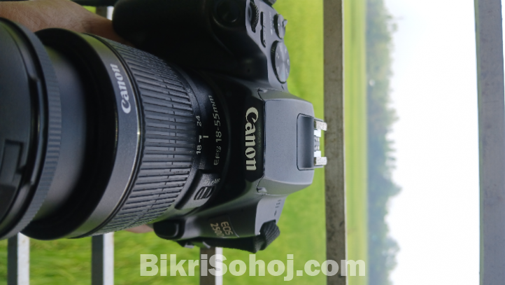 Canon 250 D Professional Camera.